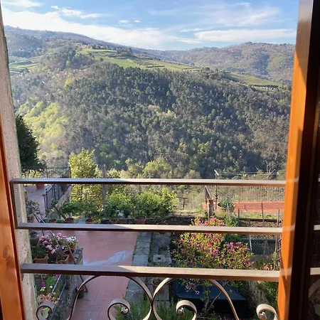 La Casina Di Castellinuzza E Piuca アパート